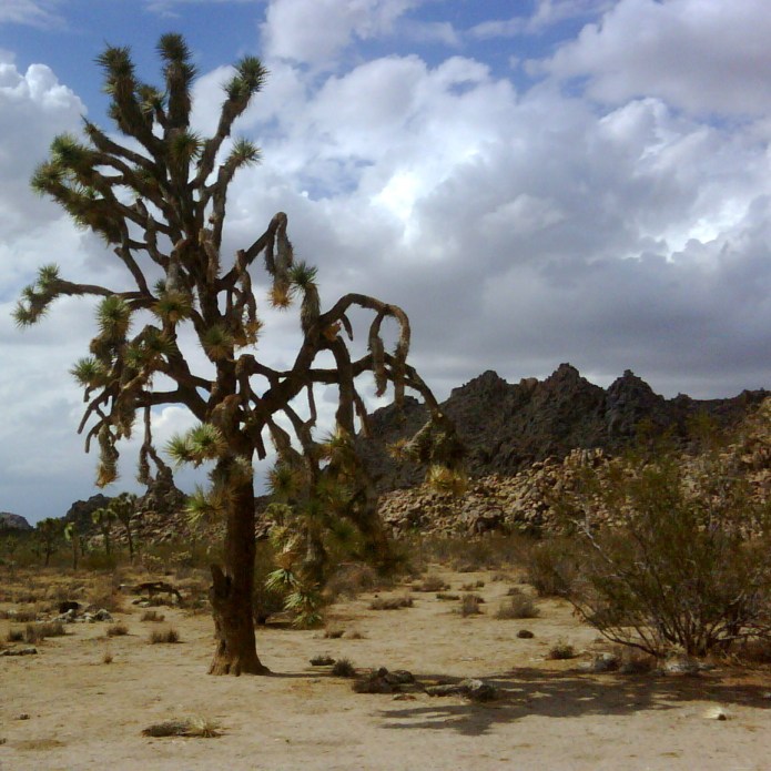 aIMG00026-20090822-1534