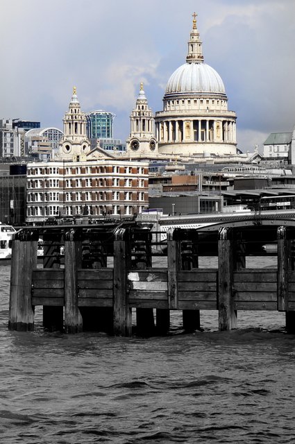 aDSC01803c2 focal bw