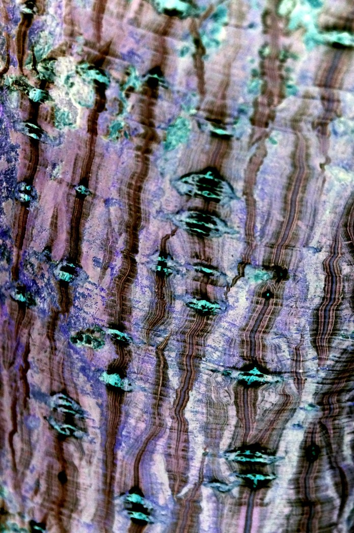 Colours inverted and shadow increased