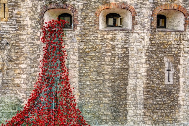 _DSC6548_51_52_fused 2