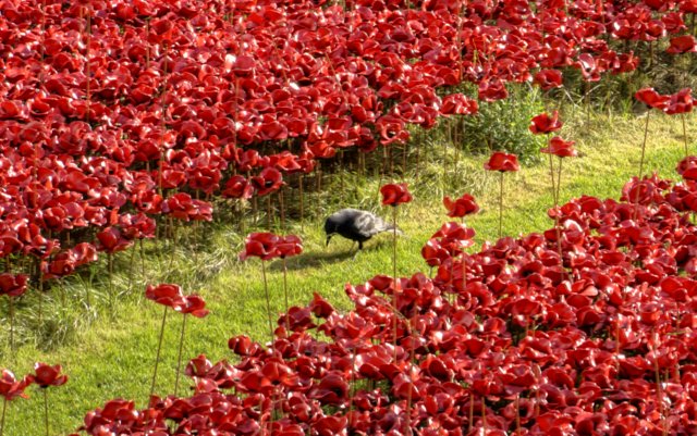 _DSC6560_1_2_tonemapped smooth