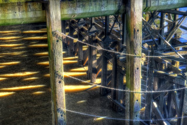 a_DSC9283_6_7_painterly2 orange