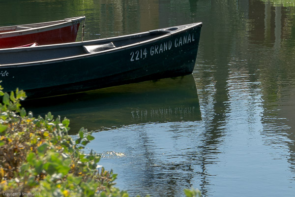 a1-20150215-_DSC07156000 x 4000