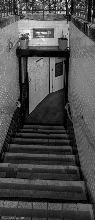 a1_20120803_aDSC06529_3264 x 4912