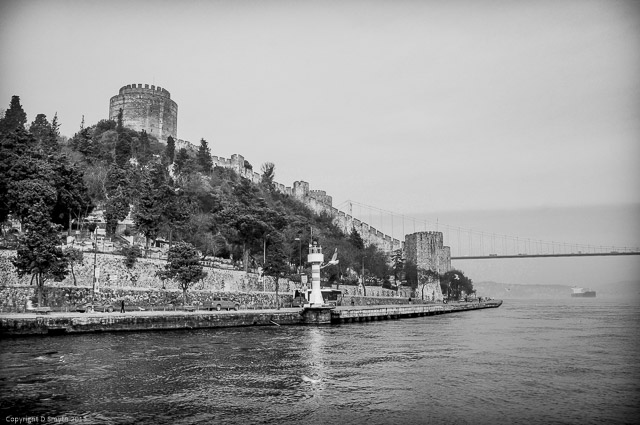 a1_20140228_DSC03356_4912 x 3264-2