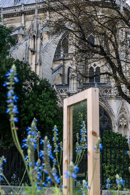 a1_20140919_DSC00162_4000 x 6000