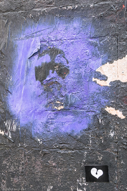 a1_20141118__DSC8186_6000 x 4000