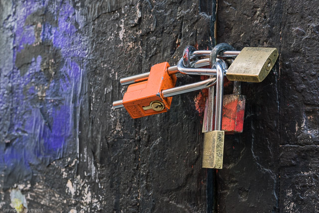 a1_20141118__DSC8187_6000 x 4000