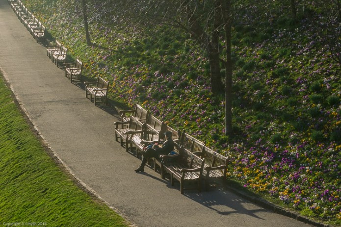 a1_20150305_20150305__DSC1455_4000 x 6000-4