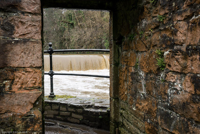 a1_20150307_20150307__DSC1572_6000 x 4000