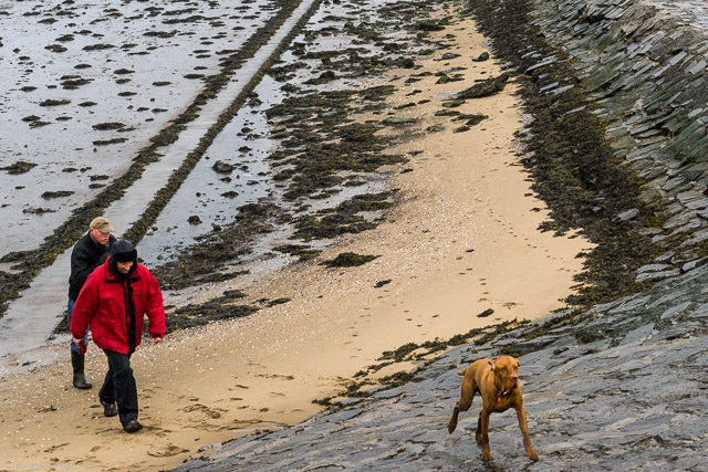 a1_20150307_20150307__DSC1579_6000 x 4000-2