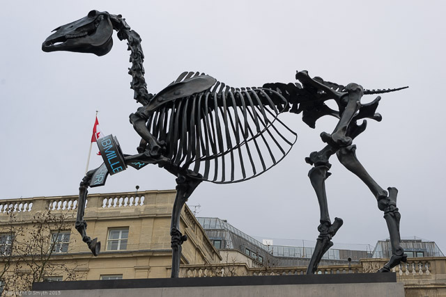 a1_20150308_20150308__DSC1587_6000 x 4000