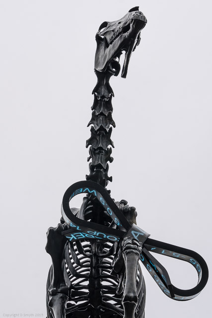 a1_20150308_20150308__DSC1611_2624 x 3936