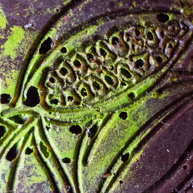 a1_20150309_20150309__DSC1696_3936 x 2624