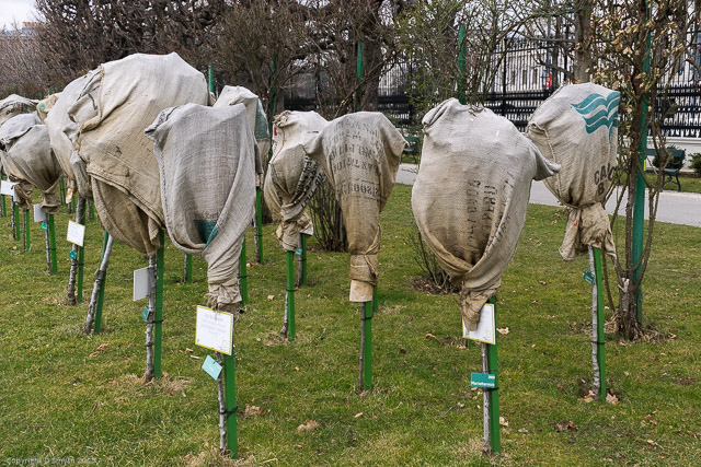 a1_20150312_20150312__DSC1748_6000 x 4000