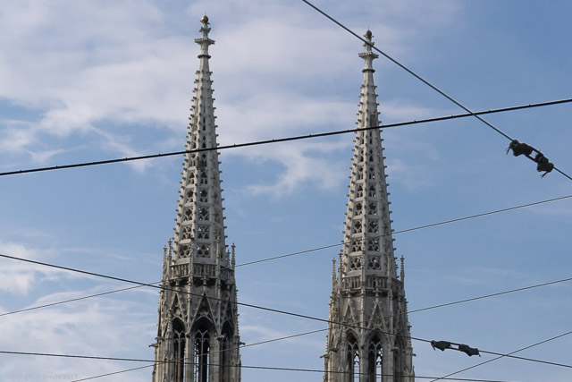 a1_20150312_20150312__DSC1854_6000 x 4000