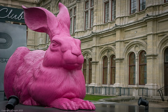 a1_20150313_20150313__DSC1993_6000 x 4000-2