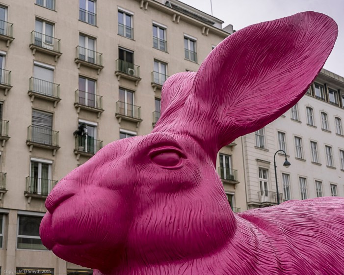 a1_20150313_20150313__DSC1995_6000 x 4000-2