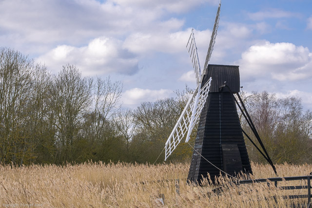 a1_20150314_20150314__DSC2161_3936 x 2624-2