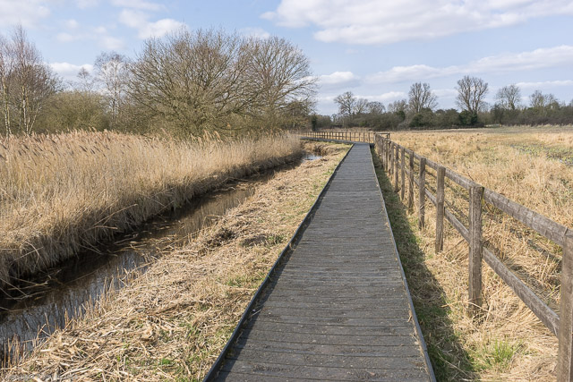 a1_20150314_20150314__DSC2172_6000 x 4000