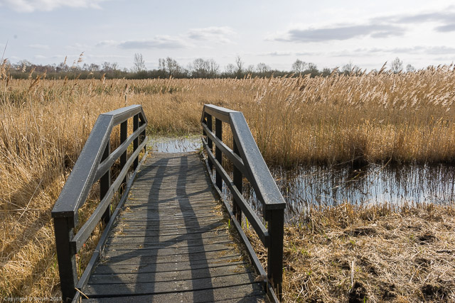 a1_20150314_20150314__DSC2178_6000 x 4000