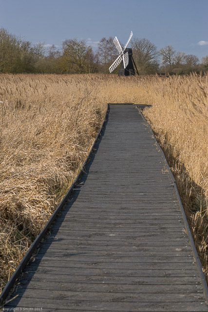 a1_20150314_20150314__DSC2205_4000 x 6000