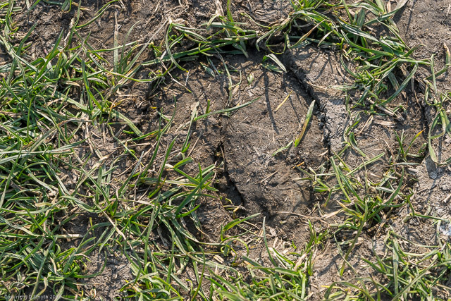 a1_20150314_20150314__DSC2208_6000 x 4000