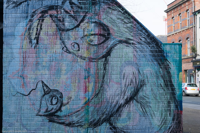 a1_20150316_20150316__DSC2562_6000 x 4000