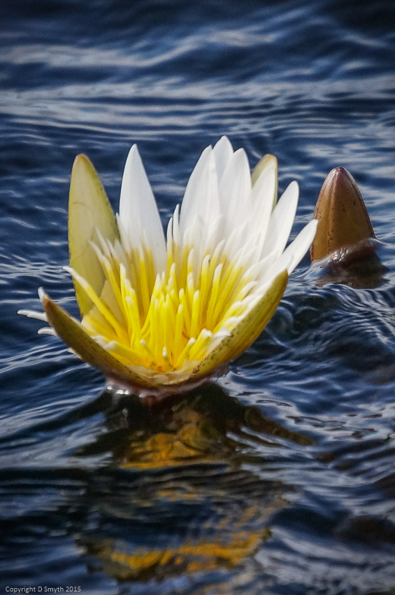 a1_20120611_DSC05088_4912 x 3264