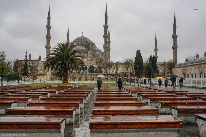 a1_20140225_DSC02492_4912 x 3264