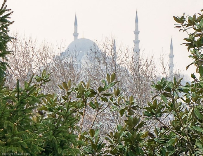 a1_20140227_aDSC03225_2129 x 2769