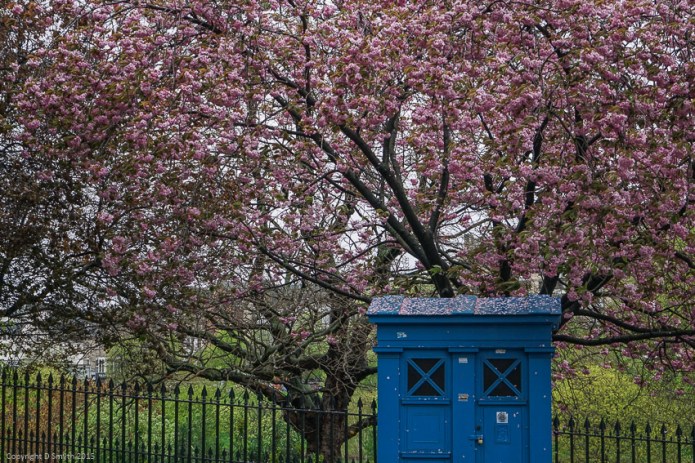 a1_20140501_DSC04028_6000 x 4000