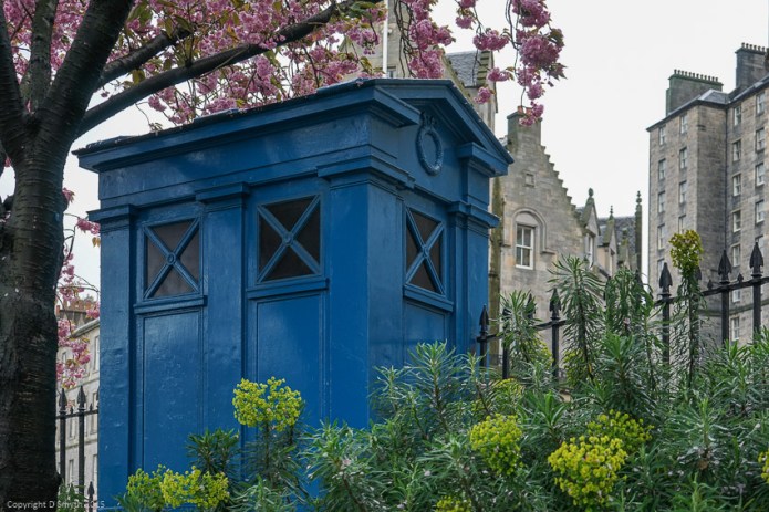 a1_20140501_DSC04033_6000 x 4000