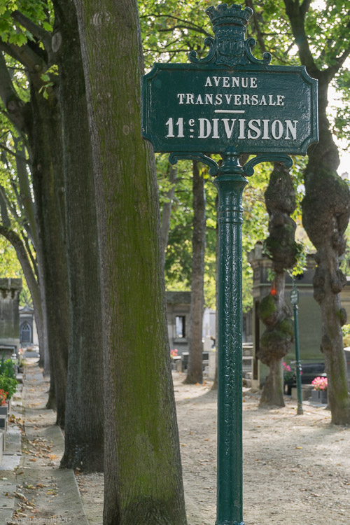 a1_20140920_DSC00249_4000 x 6000