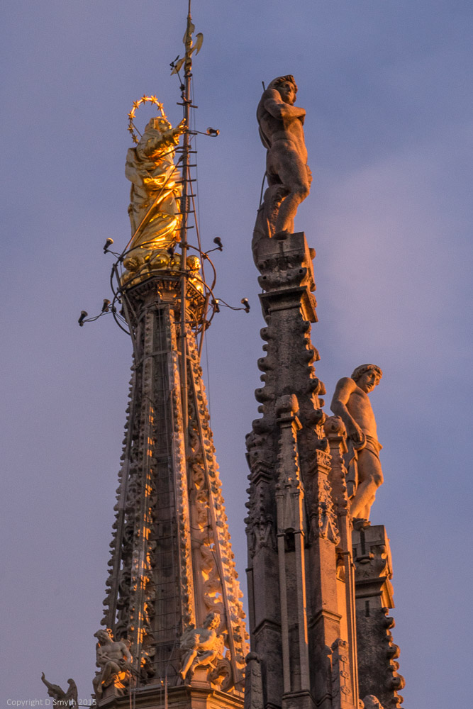 a1_20150225__DSC1249_2624 x 3936