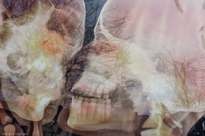 a1_20150305_20150305__DSC1404_6000 x 4000