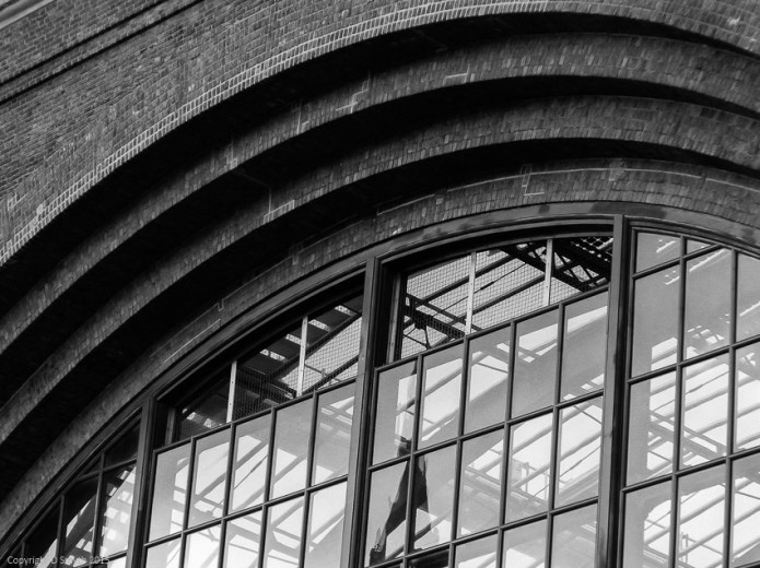 a1_20150325_20150325_L1000078_4000 x 3000