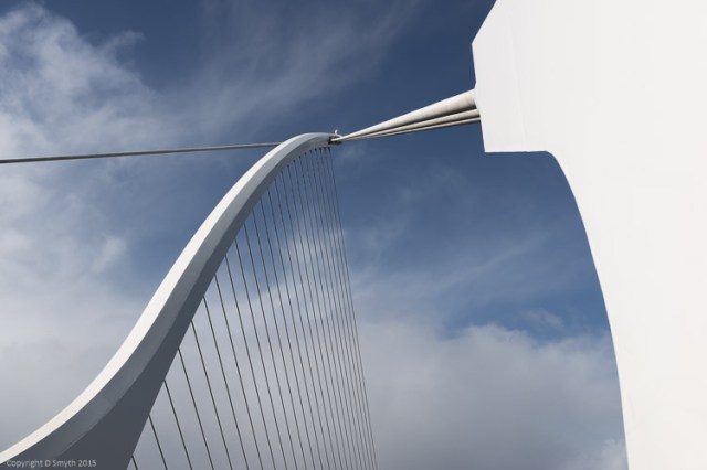 a1_20150331_20150331__DSC2831_6000 x 4000