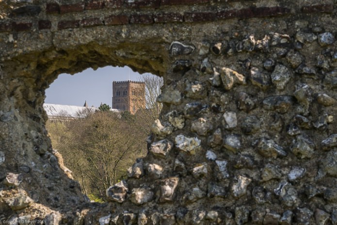 a1_20150407_20150407__DSC2855_3936 x 2624