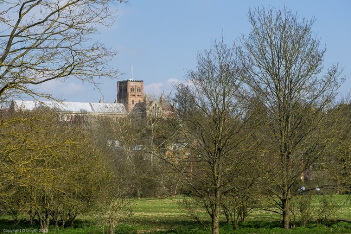 a1_20150407_20150407__DSC2948_6000 x 4000