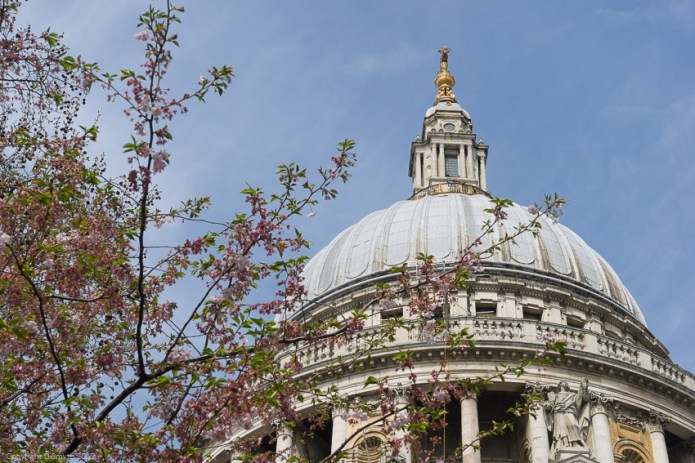 a1_20150410__DSC2991_6000 x 4000