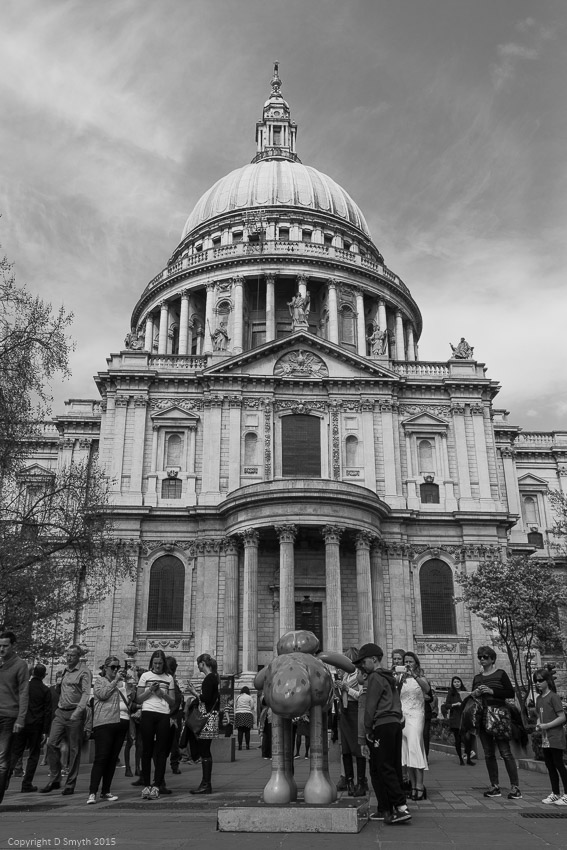 a1_20150410__DSC2996_4000 x 6000