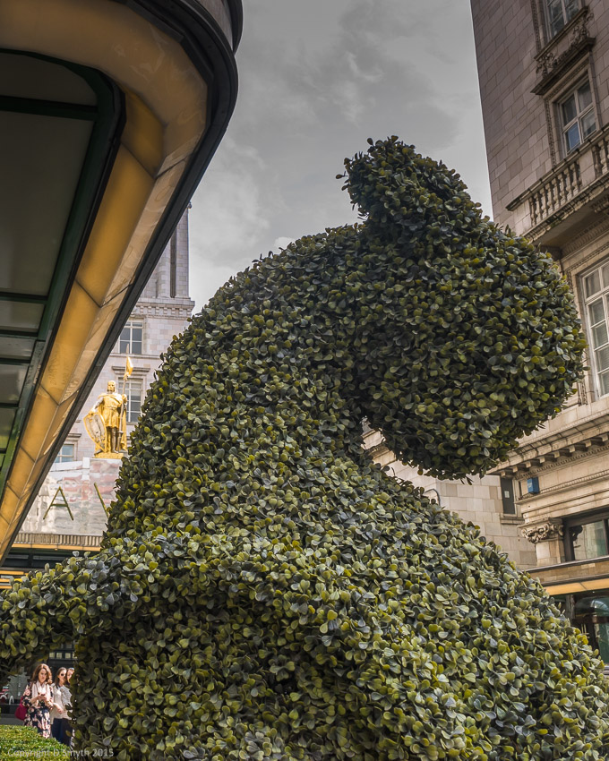 a1_20150410__DSC3056_6000 x 4000