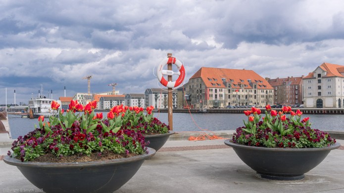 a1_20150412__DSC3325_6000 x 4000