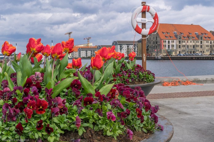 a1_20150412__DSC3326_6000 x 4000