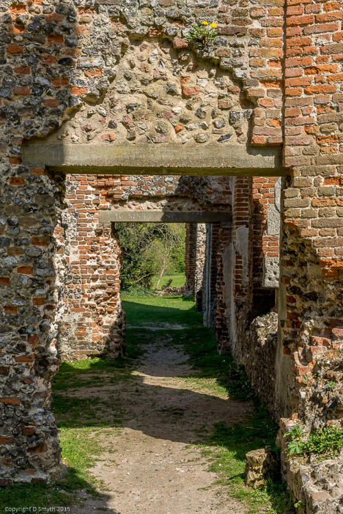 a1_20150418_20150418__DSC3982_4000 x 6000