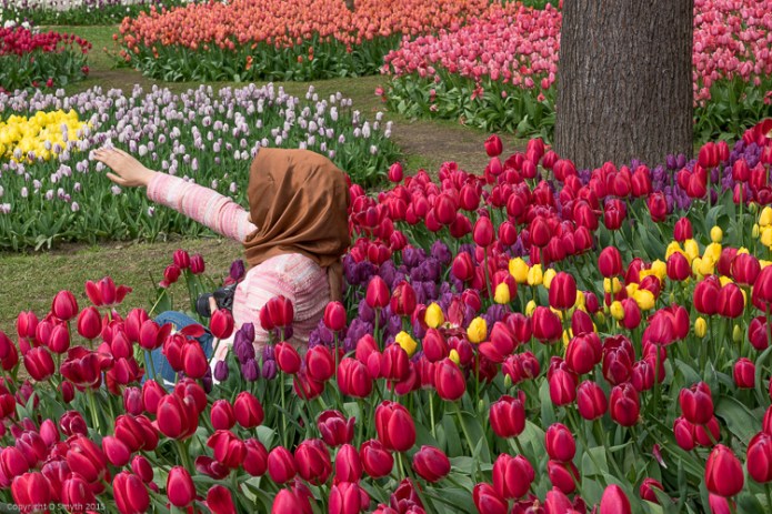 a1_20150421_20150421__DSC4920_6000 x 4000