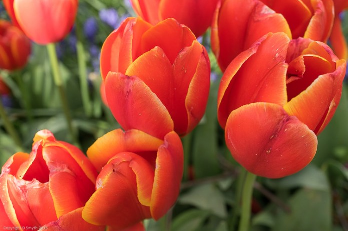 a1_20150421_20150421__DSC4980_3936 x 2624