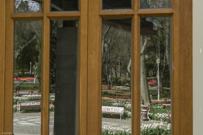 a1_20150421_20150421__DSC4996_6000 x 4000