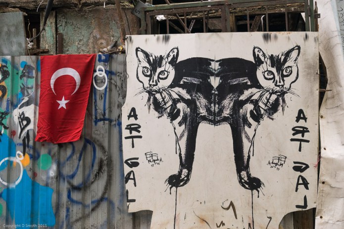 a1_20150422_20150422__DSC5241_6000 x 4000